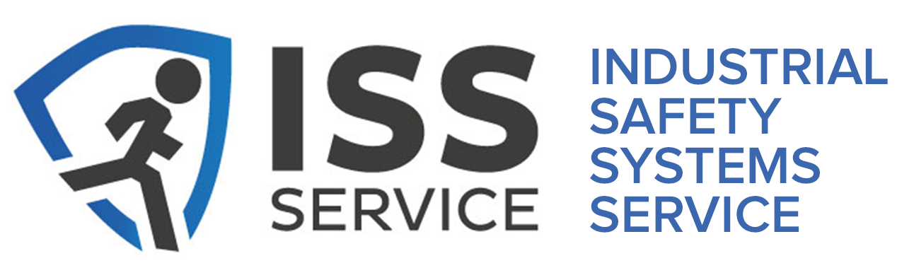 ISS services - przegląd systemów detekcji Podkarpacie